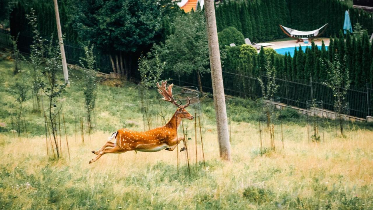Chalet Balkan Valevtsi Buitenkant foto